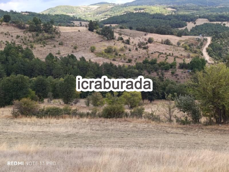 icralık  m2 Tarla Sakarya Taraklı Tuzla