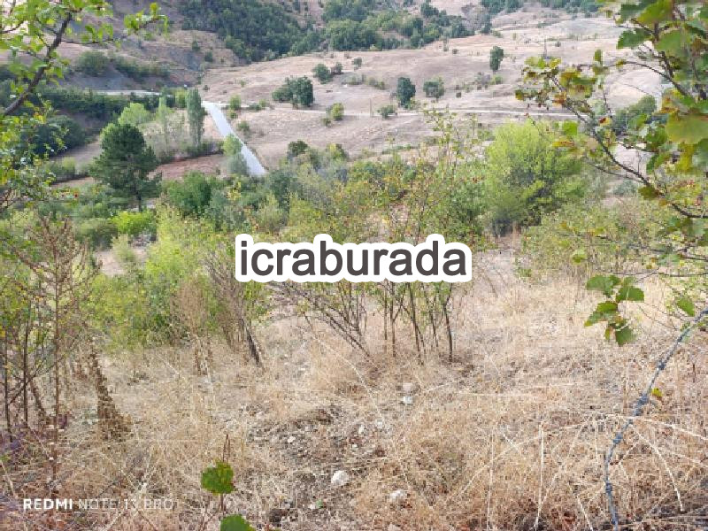 icralık  m2 Tarla Sakarya Taraklı Tuzla