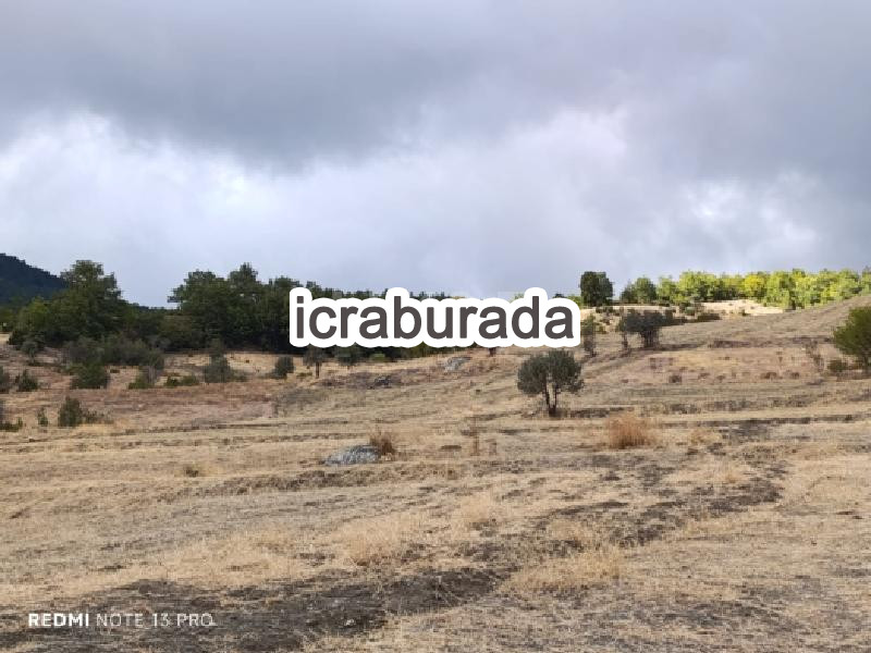 icralık  m2 Tarla Sakarya Taraklı Tuzla