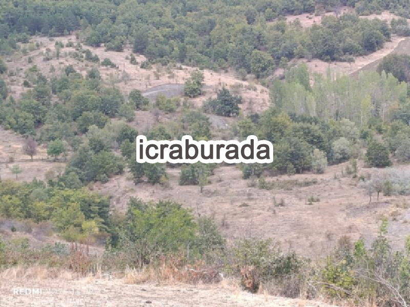 icralık  m2 Tarla Sakarya Taraklı Tuzla