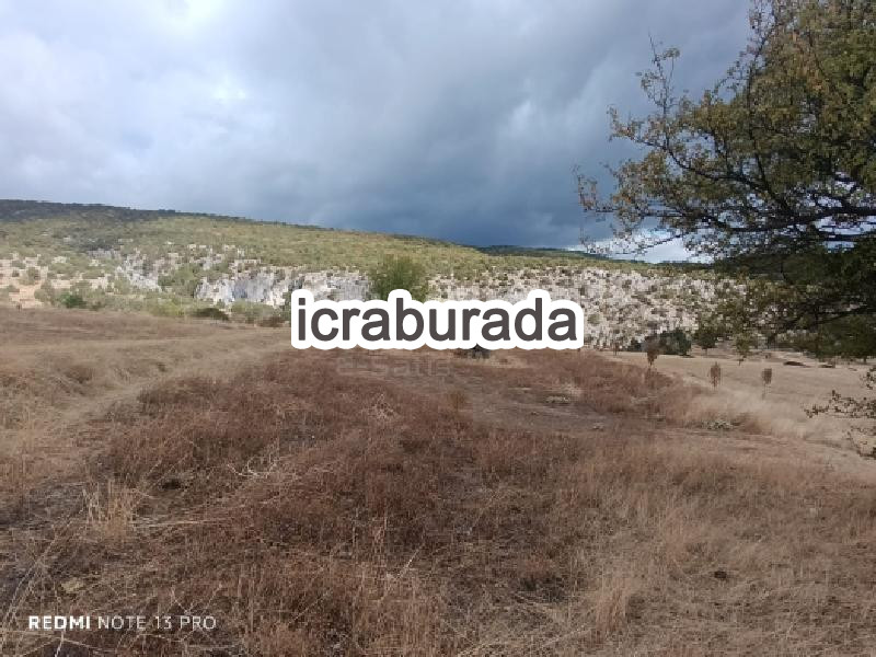 icralık  m2 Tarla Sakarya Taraklı Tuzla