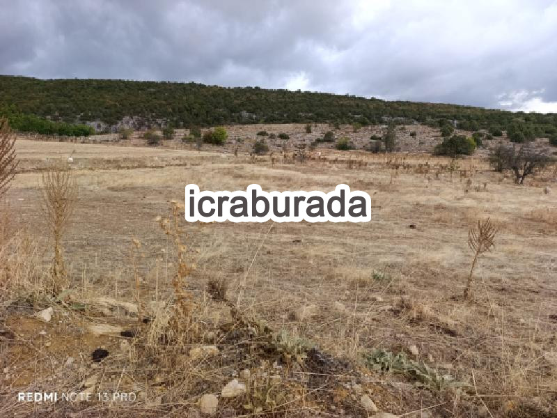 icralık  m2 Tarla Sakarya Taraklı Tuzla
