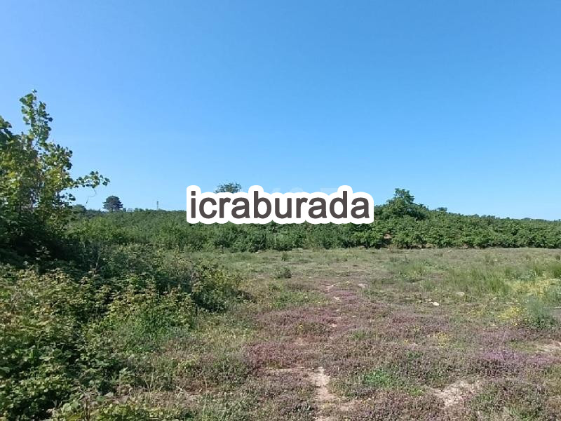 icralık  m2 Tarla Sakarya Karasu Karasu