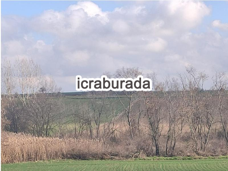 icralık  m2 Tarla Kırklareli Merkez İnece