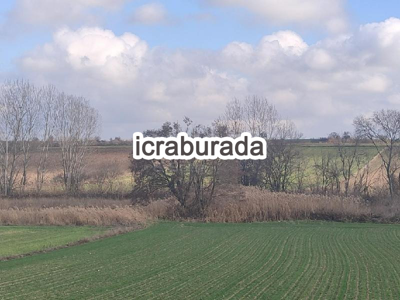 icralık  m2 Tarla Kırklareli Merkez İnece