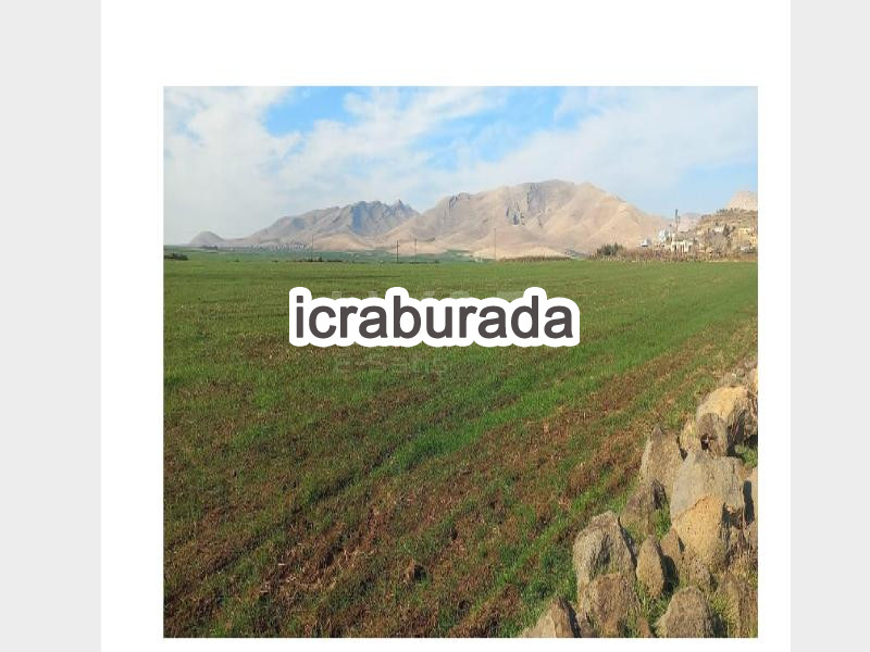 icralık  m2 Tarla Mardin Derik Çayköy