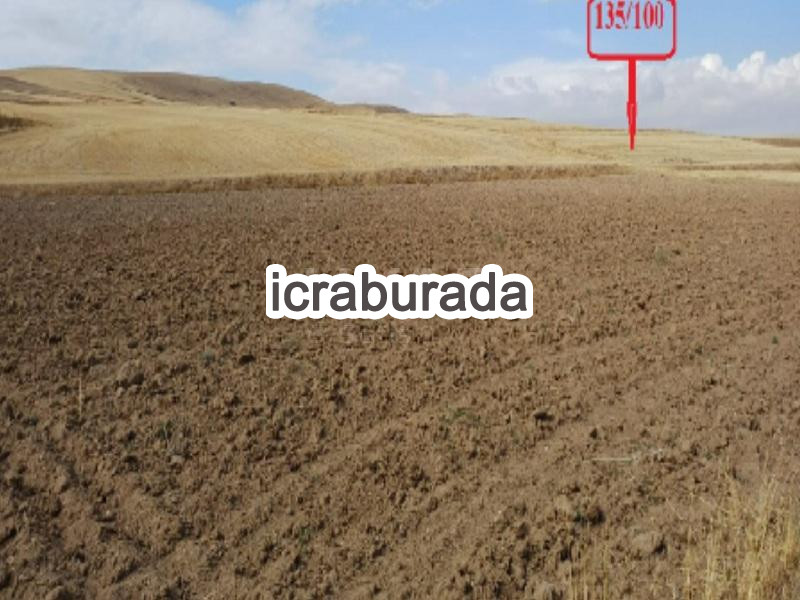 icralık  m2 Tarla Kırşehir Akpınar Köşker