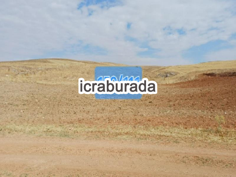 icralık  m2 Tarla Kırşehir Akpınar Köşker