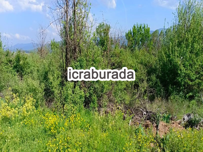 icralık  m2 Tarla Çanakkale Bayramiç Yeşilköy