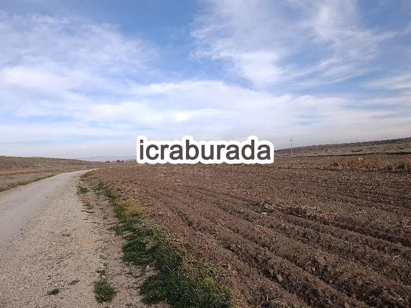 icralık  m2 Tarla Afyonkarahisar İhsaniye Yukaritandir