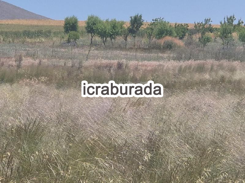 icralık  m2 Bag Kırşehir Mucur Obruk