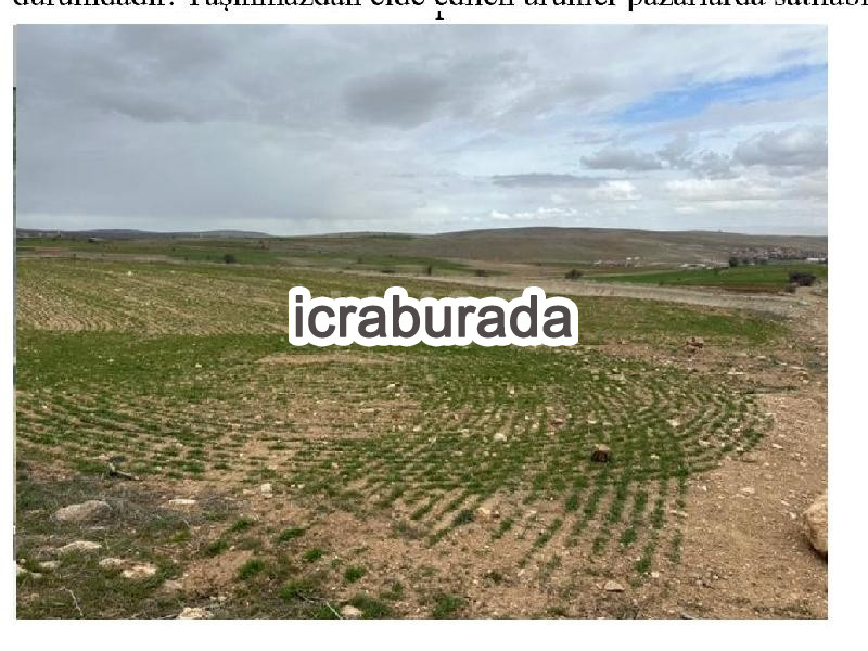 icralık  m2 Tarla Konya Kadınhanı Söğütözü