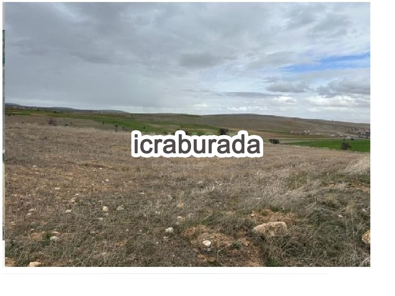 icralık  m2 Tarla Konya Kadınhanı Söğütözü