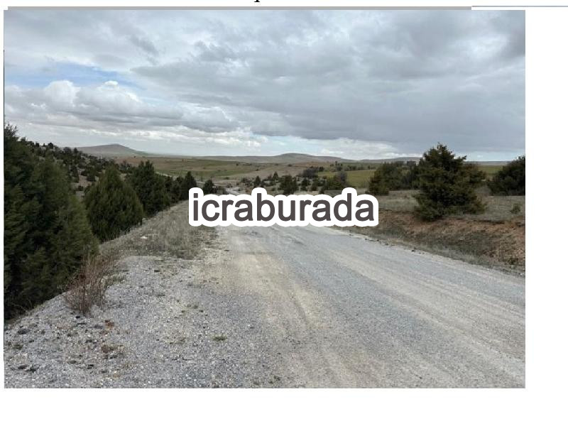 icralık  m2 Tarla Konya Kadınhanı Söğütözü