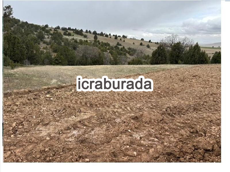 icralık  m2 Tarla Konya Kadınhanı Söğütözü