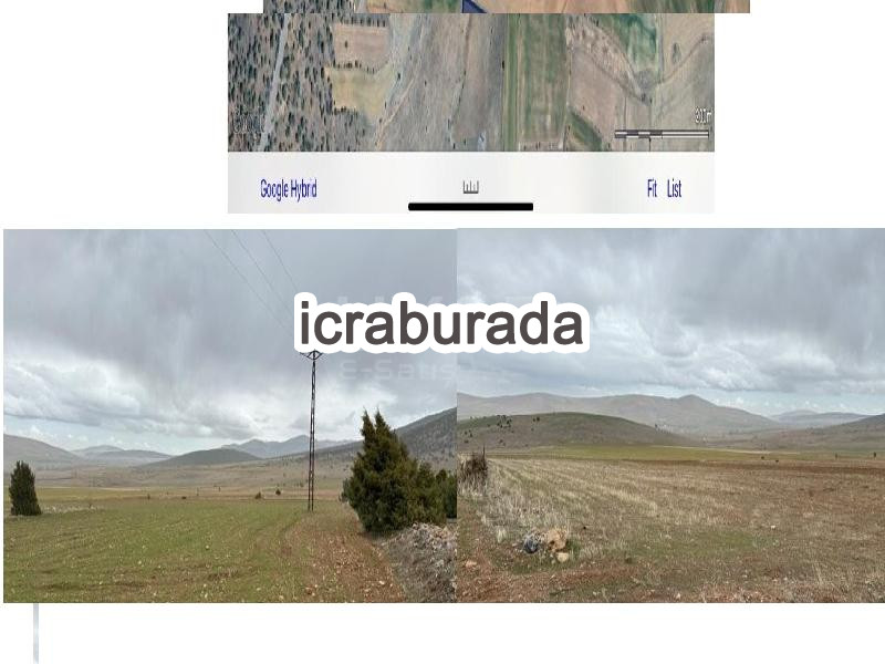 icralık  m2 Tarla Konya Kadınhanı Söğütözü