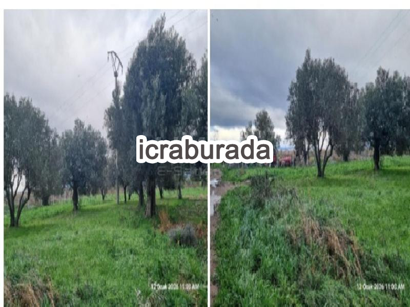 icralık  m2 Tarla İzmir Kınık Fatih
