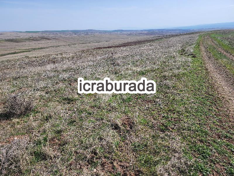 icralık  m2 Tarla Konya Kulu Kömişini