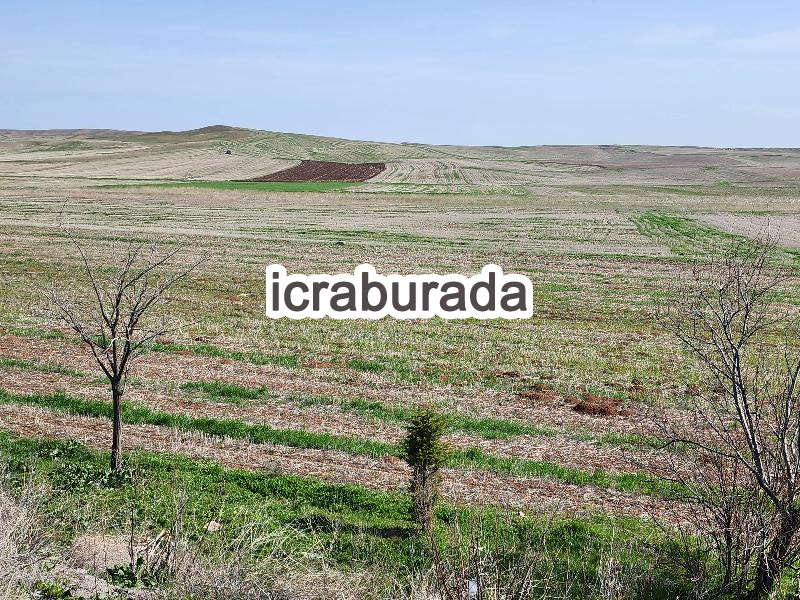 icralık  m2 Tarla Konya Kulu Kömişini