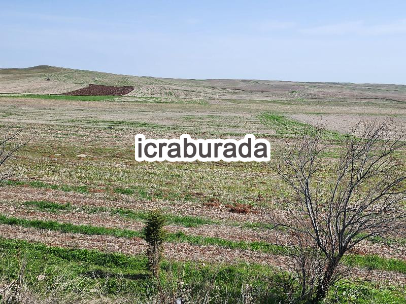 icralık  m2 Tarla Konya Kulu Kömişini