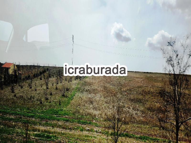 icralık  m2 Tarla Konya Kulu Kömişini