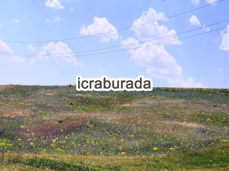 icralık  m2 Tarla Konya Kulu Kömişini