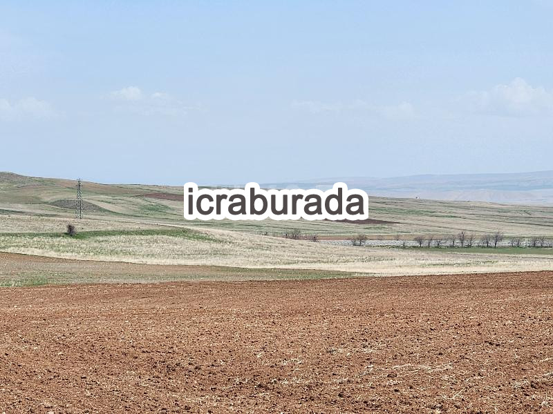 icralık  m2 Tarla Konya Kulu Kömişini