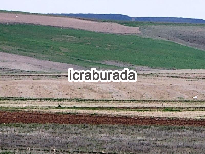icralık  m2 Tarla Konya Kulu Kömişini