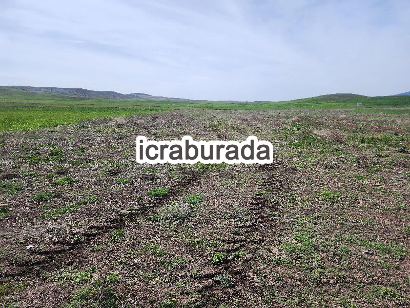 icralık  m2 Tarla Konya Kulu Kömişini
