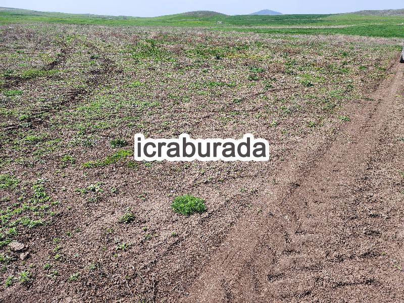 icralık  m2 Tarla Konya Kulu Kömişini