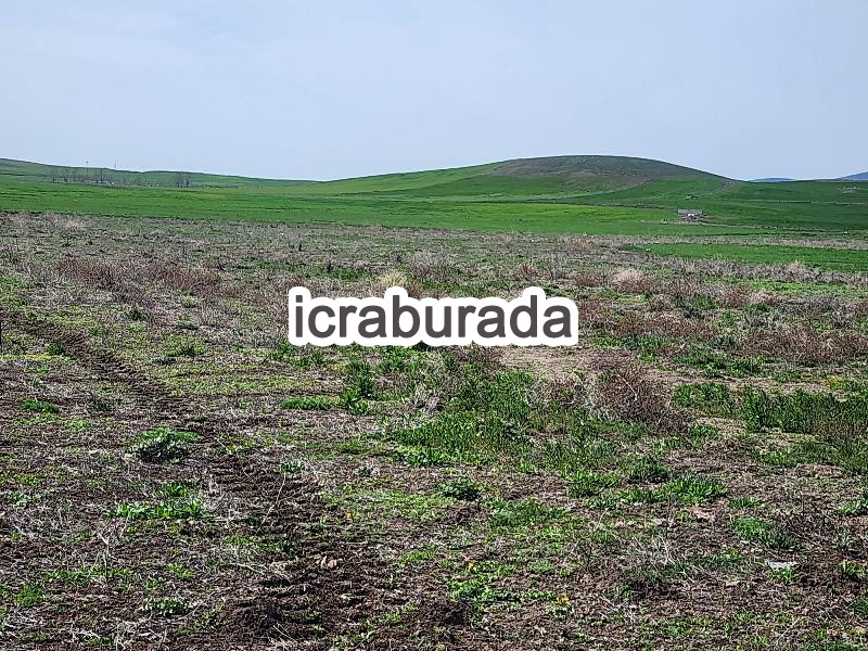icralık  m2 Tarla Konya Kulu Kömişini