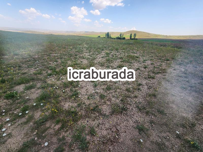icralık  m2 Tarla Konya Kulu Kömişini