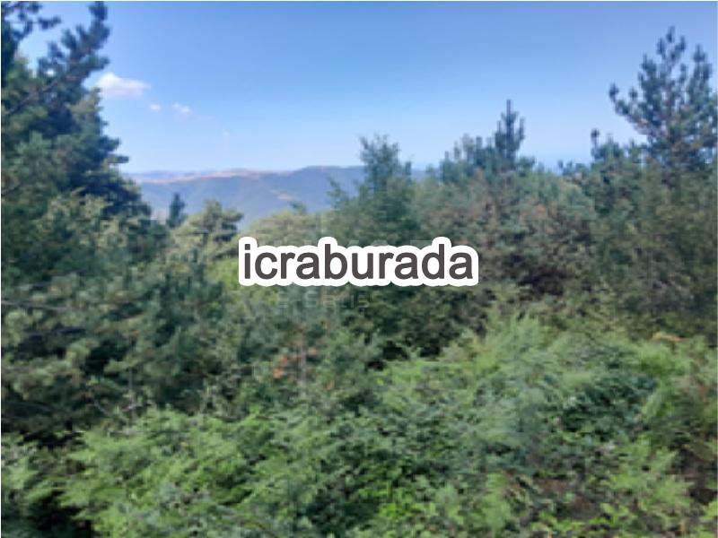 icralık  m2 Tarla Samsun Alaçam Gökçeağaçoymaği