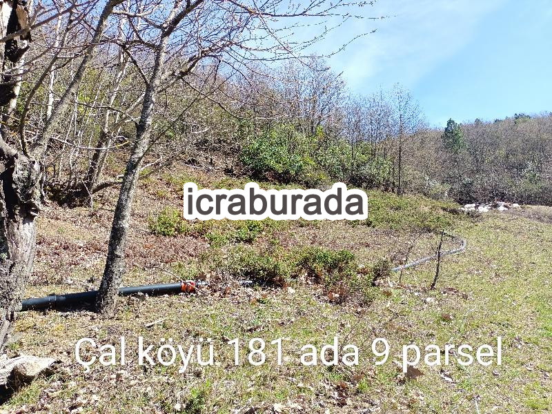 icralık  m2 Diger Çanakkale Yenice Çal