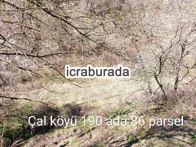 icralık  m2 Diger Çanakkale Yenice Çal