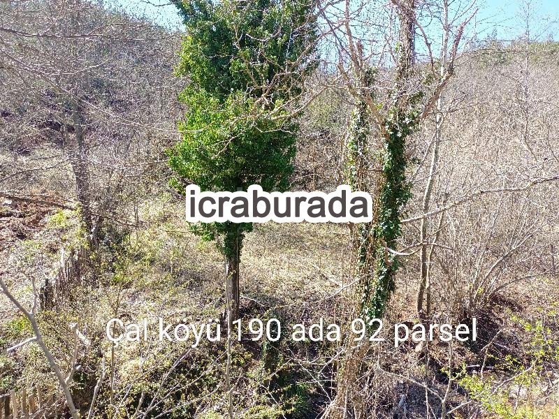 icralık  m2 Diger Çanakkale Yenice Çal