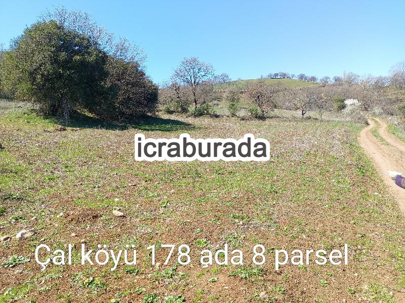icralık  m2 Tarla Çanakkale Yenice Çal