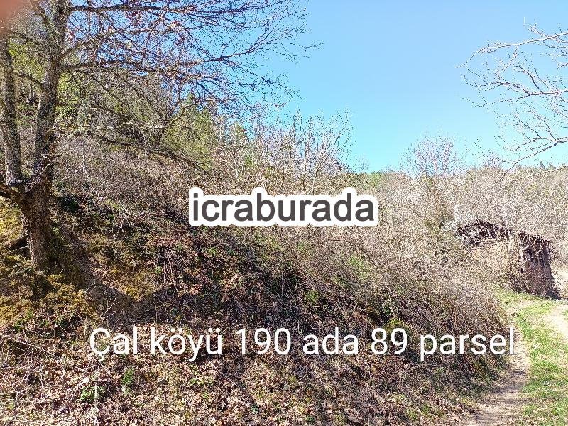 icralık  m2 Diger Çanakkale Yenice Çal
