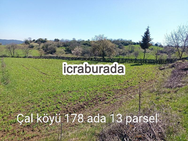 icralık  m2 Tarla Çanakkale Yenice Çal