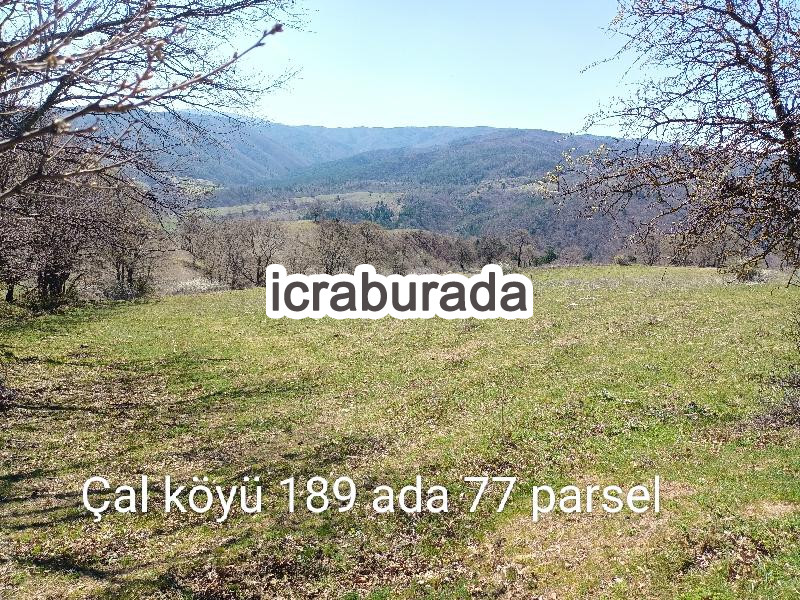 icralık  m2 Tarla Çanakkale Yenice Çal