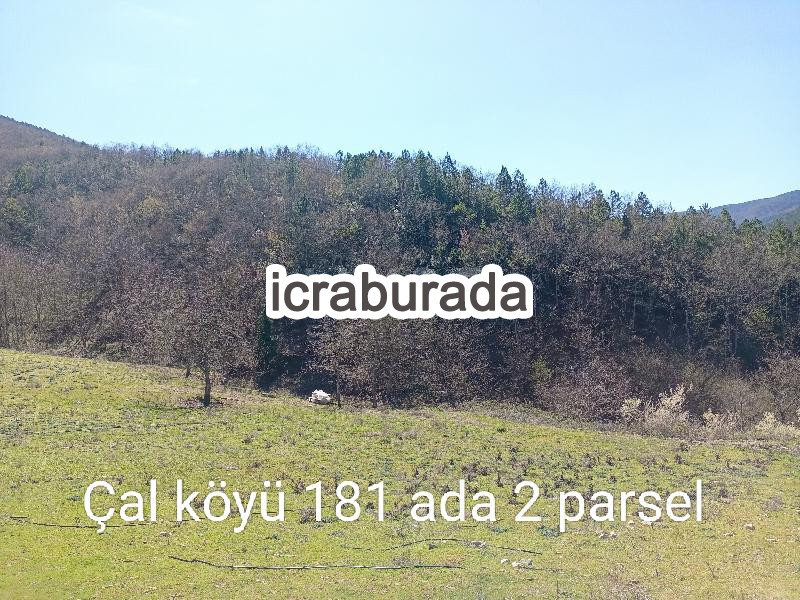 icralık  m2 Tarla Çanakkale Yenice Çal