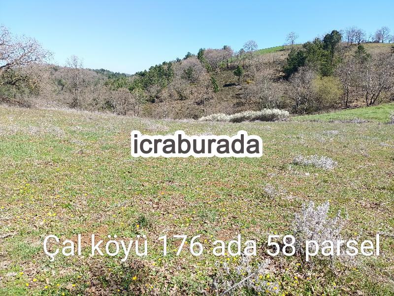 icralık  m2 Tarla Çanakkale Yenice Çal