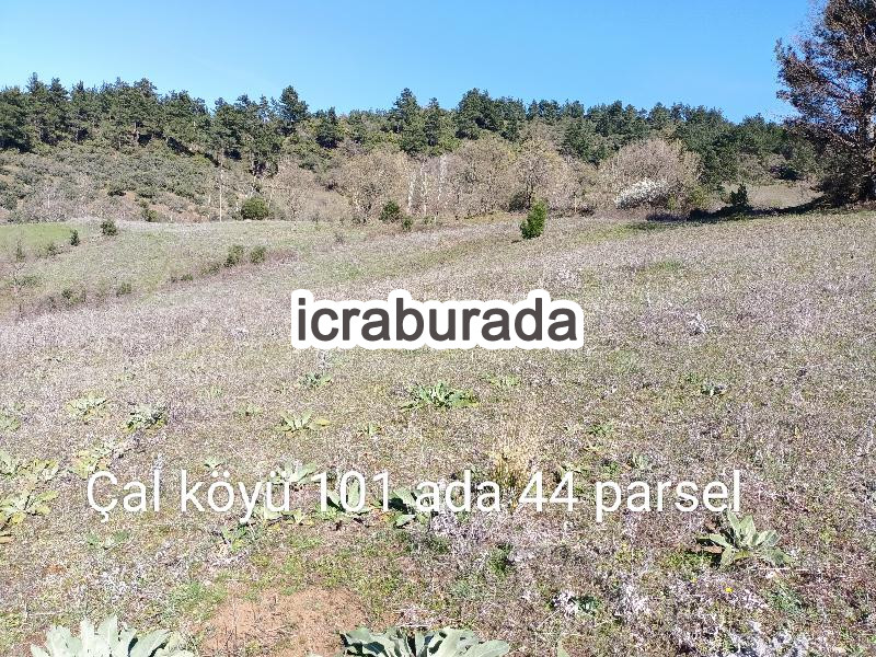 icralık  m2 Tarla Çanakkale Yenice Çal