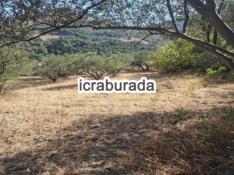 icralık  m2 Tarla Manisa Soma Darkale