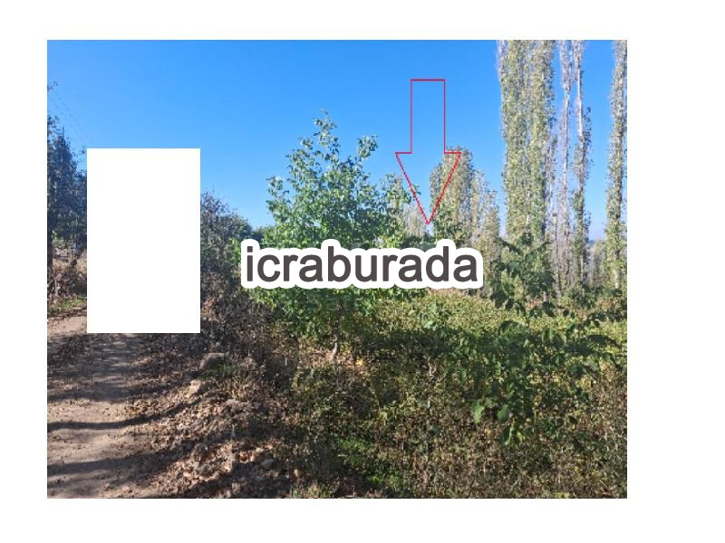 icralık  m2 Tarla Amasya Merkez Karaibrahim