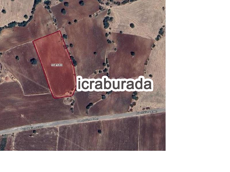 icralık  m2 Tarla Diyarbakır Lice Dibekköy