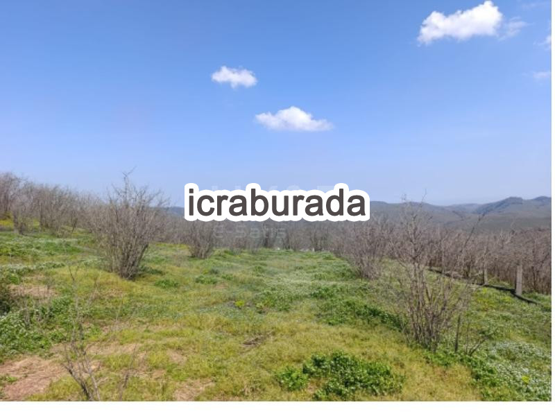 icralık  m2 Bag Sakarya Karasu Kurudere/orta