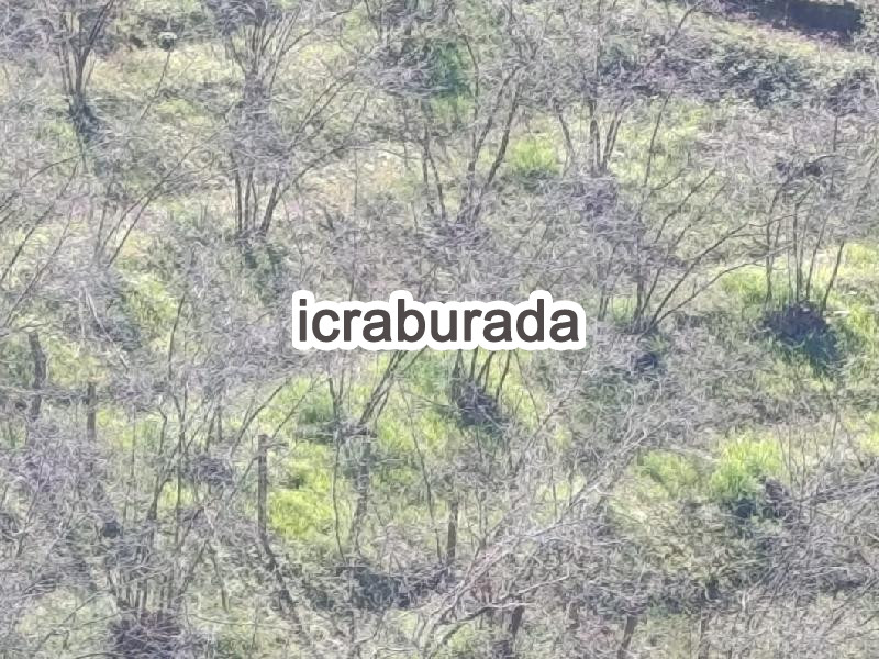 icralık  m2 Bag Sakarya Karasu Kurudere/orta
