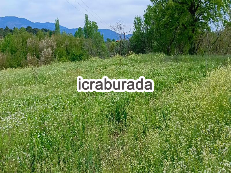 icralık  m2 Tarla Çanakkale Bayramiç Daloba