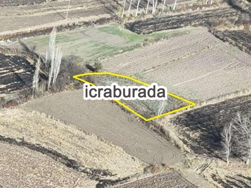 icralık  m2 Tarla Amasya Göynücek Yeni